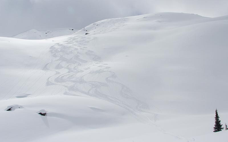 Fresh ski track on an untouched slope near the Mallard Mountain Lodge in British Columbia