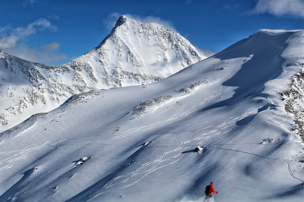 Vue d'une piste de ski dans de la neige vierge sur la face d'un sommet au Mallard Mountain Lodge, C.-B.