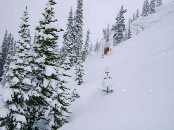 Man skiing deep powder in the trees at the Mallard Mountain Lodge