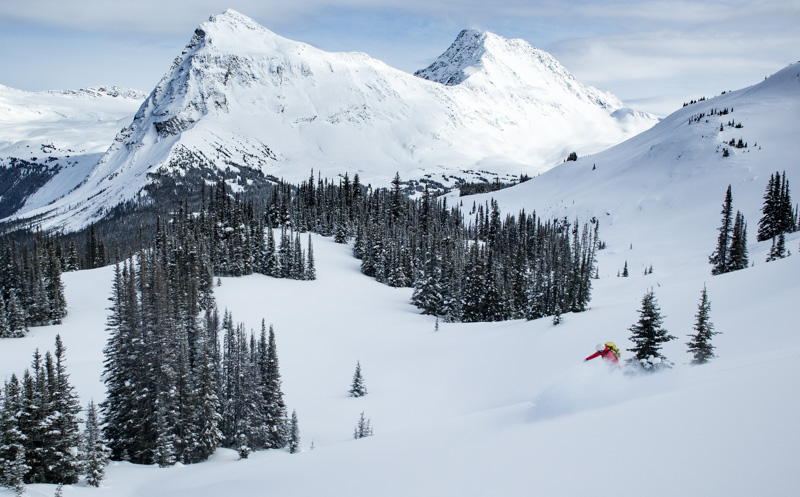 Snowboarder riding powder at the Mallard Mountain Lodge in the Rocky Mountains of BC