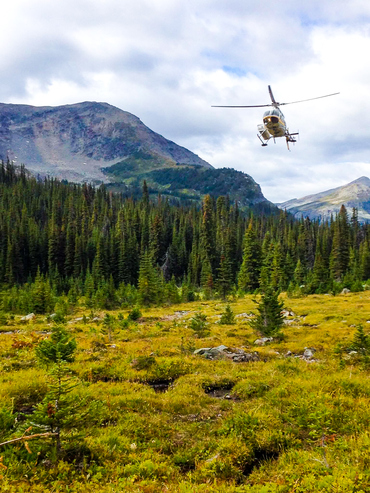 Helicopter landing to pick up hikers at the Mallard Mountain Lodge BC