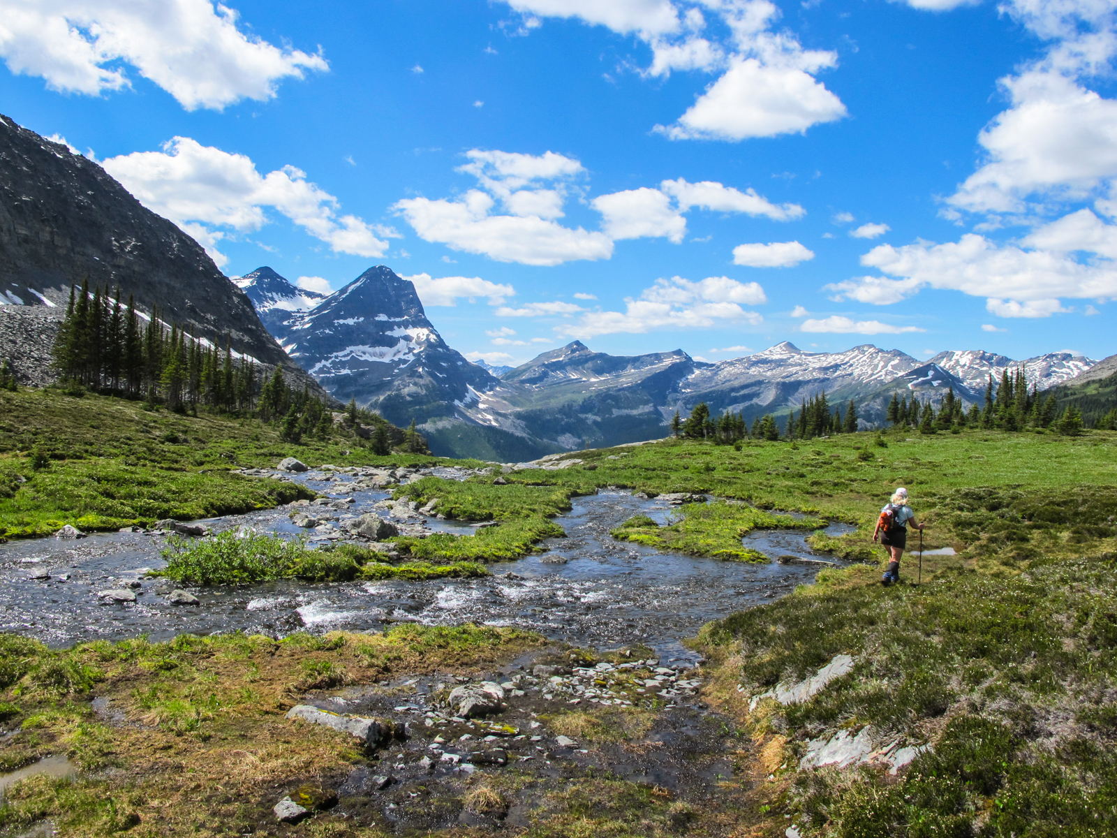 Lone hiker in a grassy meadow with a stream in the mountains
