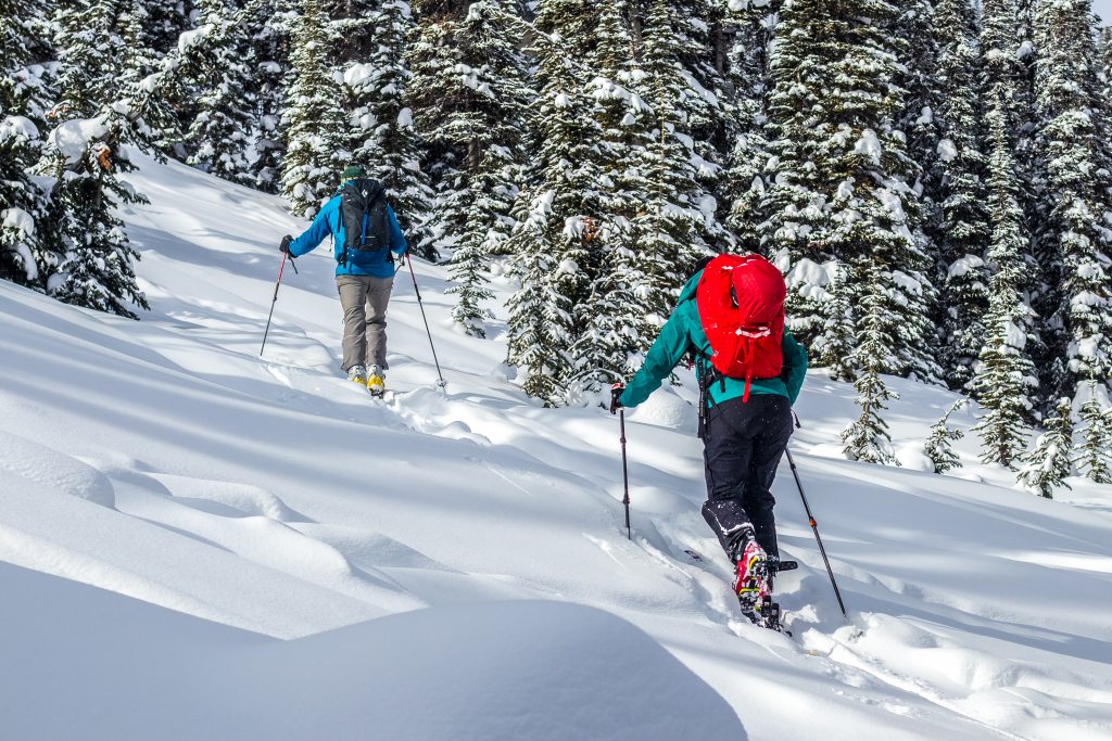 man and woman ski touring up a slope in between trees