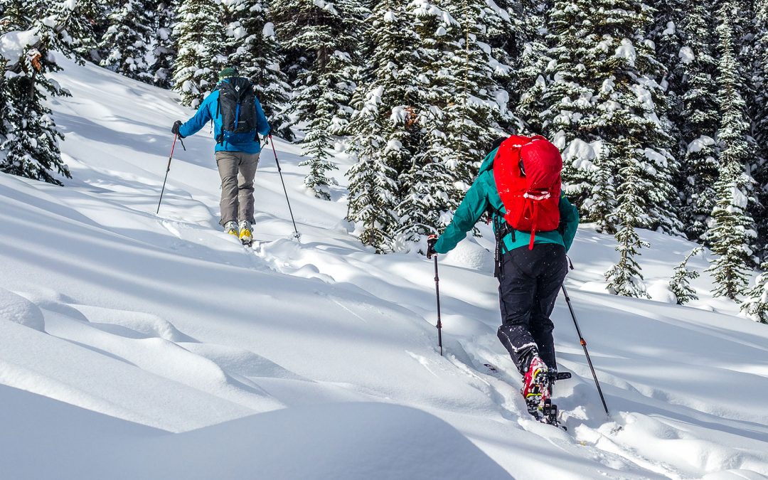 Backcountry ski on sale