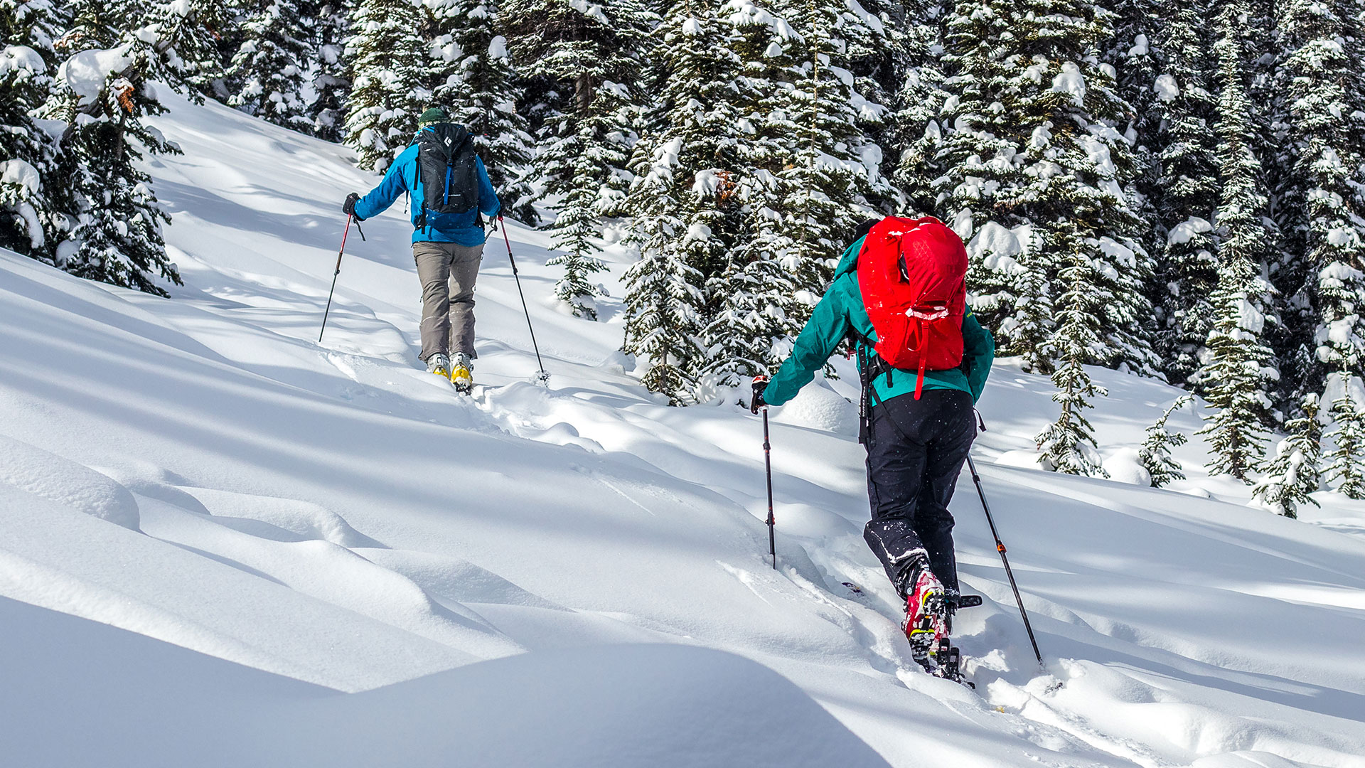 A Guide For Your First Backcountry Skiing & Snowboarding Tour
