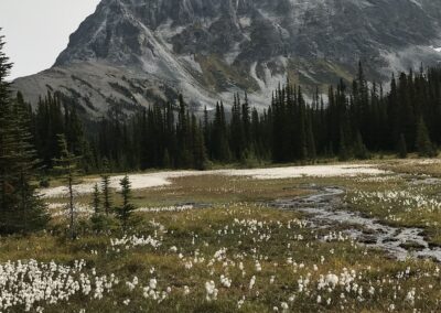 alpine hiking helicopter access remote exclusive Lodge British Columbia Rockies Canadian Rockies