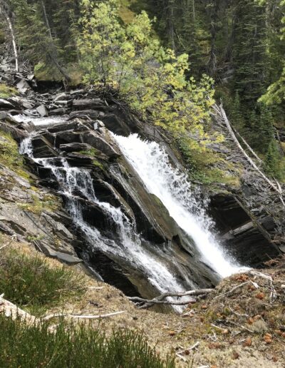 Mallard Creek waterfall