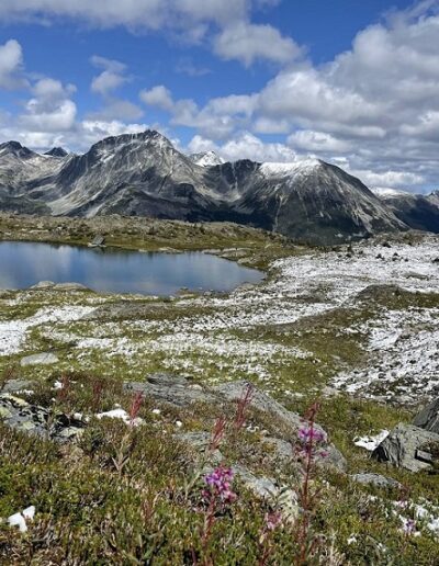 alpine hiking backcountry helicopter access remote exclusive Canadian Adventure Company Mallard Mountain Lodge British Columbia Rockies Canadian Rockies