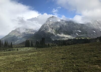 lush alpine meadows to steep mountains