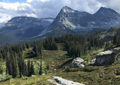 view alpine meadows to steep mountains