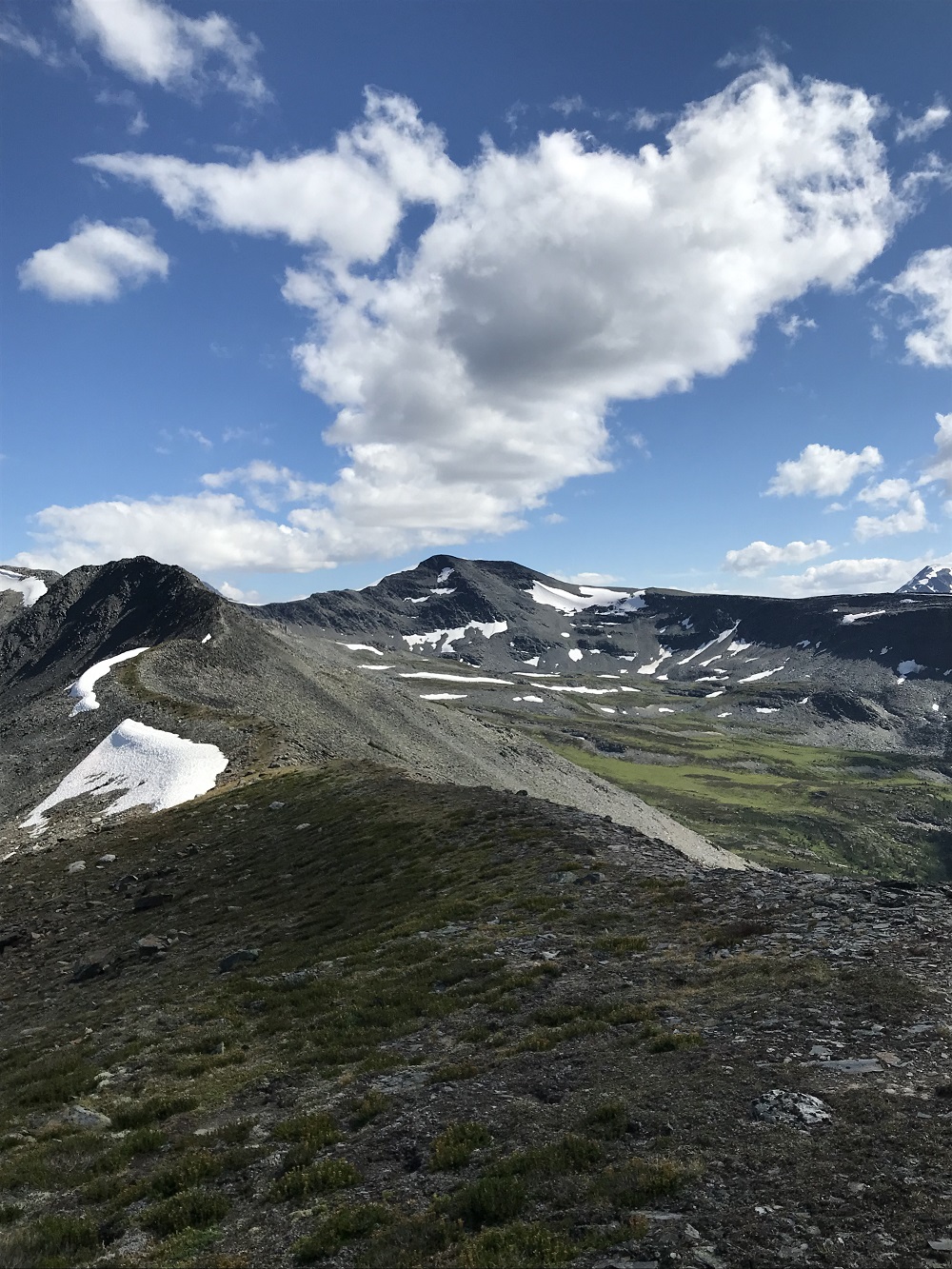 high alpine summer ridge and meadows