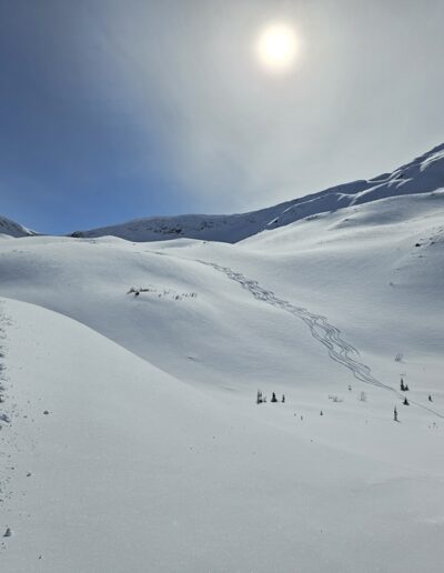 group of ski tourers