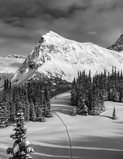 snow tourer track